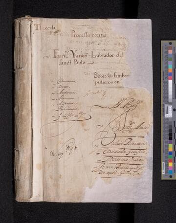 Trial of Francisco Yáñez for stealing statue and sambenitos