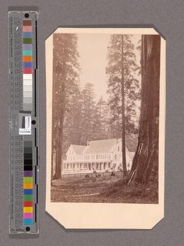 Mammoth Tree Grove Hotel. Mammoth Tree Grove, Calaveras Co., Cal