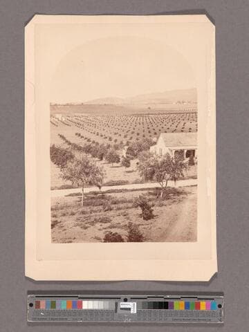 View from Lake Vineyard house, Pasadena