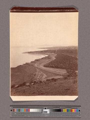View from Ortega Hill, near Santa Barbara