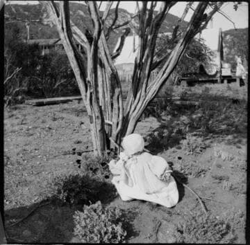 A baby sitting in front of a tree