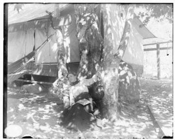 A woman sprawled in the shade of two trees holding a book