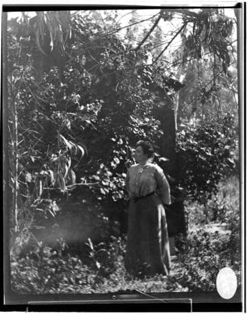 A woman standing among the plants (trees and bushes) that cover the side of a house