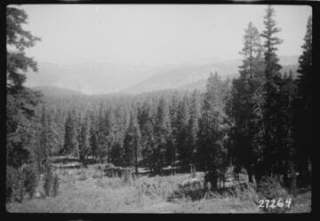 Big Creek, Fish Valley