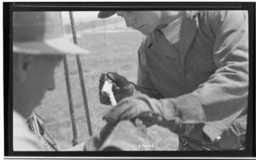 Boulder-Chino Transmission Line (2nd)