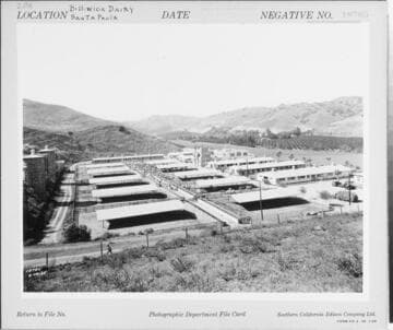 D1 - Dairy - Billiwick Dairy