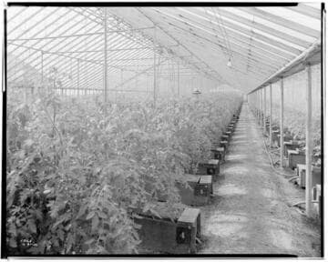 N1 - Nurseries & Soil Heating