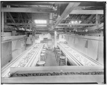 L1.8 - Lighting, Packing Plants