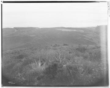 Distribution Lines - Malibu fire area