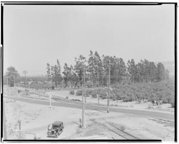 A1.2 - Accidents - Scene of fatal accident