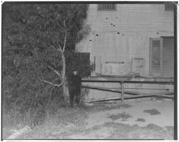 Southern California Views - Clean up Campaign