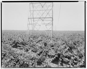 Vincent Transmission Line
