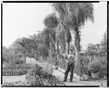 N1 - Nurseries & Soil Heating