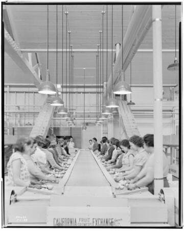 L1.8 - Lighting, Packing Plants - Seaboard Lemon Assoc. Packing House