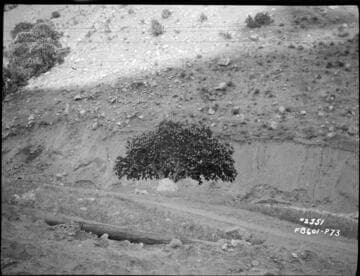 Kern River & Borel Transmission Line