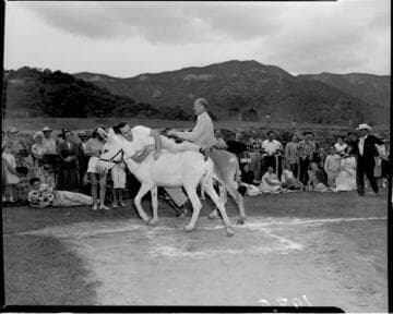 Two men trying to ride donkeys at a picnic