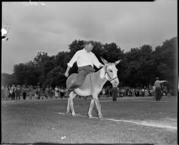 Man riding a donkey at a picnic