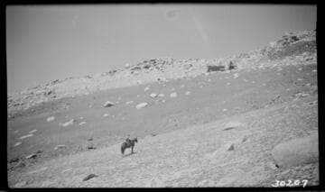 Big Creek, Vermilion Dam - Glaciation studies