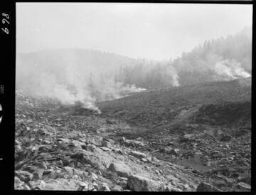 Big Creek - Mammoth Pool - Brush stacked for burning in Jackass reservoir