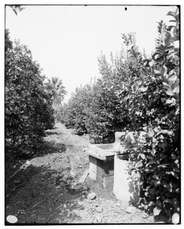 Method of Irrigation