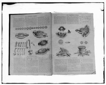 C1.1 - Charts miscellaneous