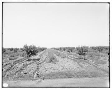 Method of Irrigation