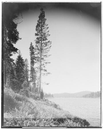 Big Creek Huntington Lake Dams