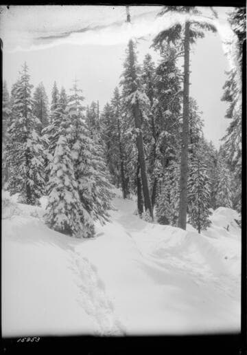 Big Creek after snow storm