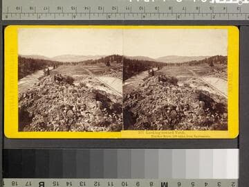 277. Looking Toward Verdi