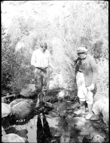 Kern River No. 3