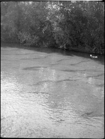 View of the Kern River