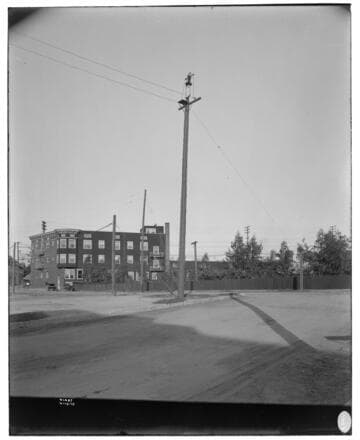 Distribution Lines - Example of guying a pole