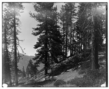 Big Creek Scenery - Big Creek Country