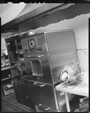 Woman cooking turkey in an electric oven