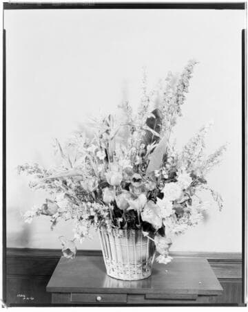 B1.21 - New Edison Building