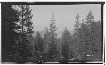 Big Creek, Florence Lake Dam - Florence Lake Trip