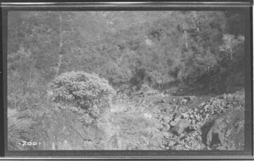 A distant view of a construction crew excavating for the conduit at Kaweah #3 Hydro Plant