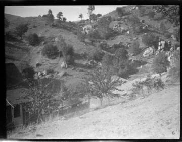 Cabins in oak woodland