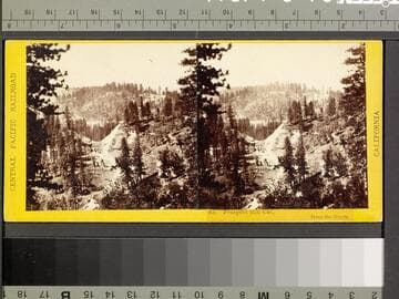 83. Prospect Hill Cut, from the North