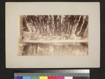 Interior of native hut. St. Lawrence Island. All inhabitants having died of starvation