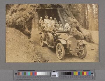 Whittier family in Mariposa Grove, Yosemite National Park
