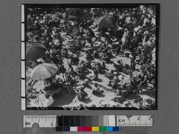 People and umbrellas on the beach, Venice Beach, California