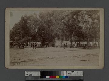 G.A.R. Encampment, Santa Monica, Cal. July 24, 1894