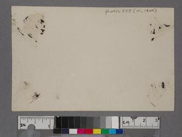 Palisades at Santa Monica