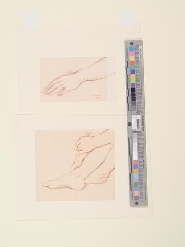 Hands and Feet Study