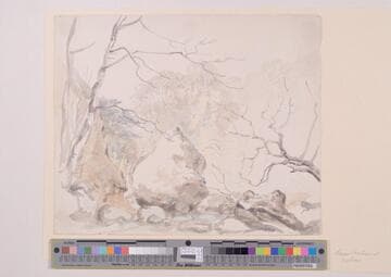 In the North Dean, Castle Eden, Durham