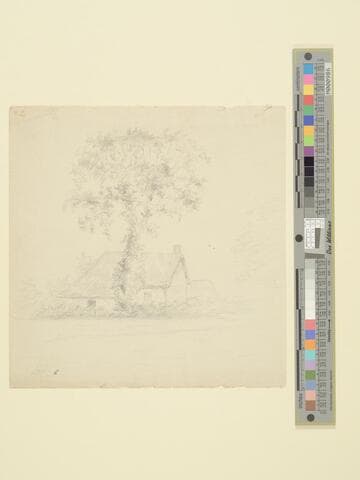 Low Cottage with High Trees