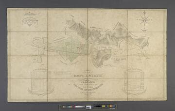 A Plan of the Hope Estate in the Parish of St. Andrew, Jamaica, the Property of His Grace The Duke of Buckingham and Chandos. / Surveyed in the Year 1826 by Edwd. McGeachy