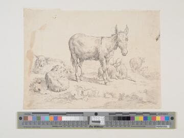 Donkey, Goat and Sheep