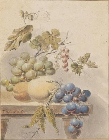 Peaches and Grapes on a Table